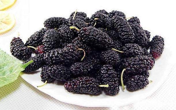 夏天吃这种水果比人参还补错过等一年