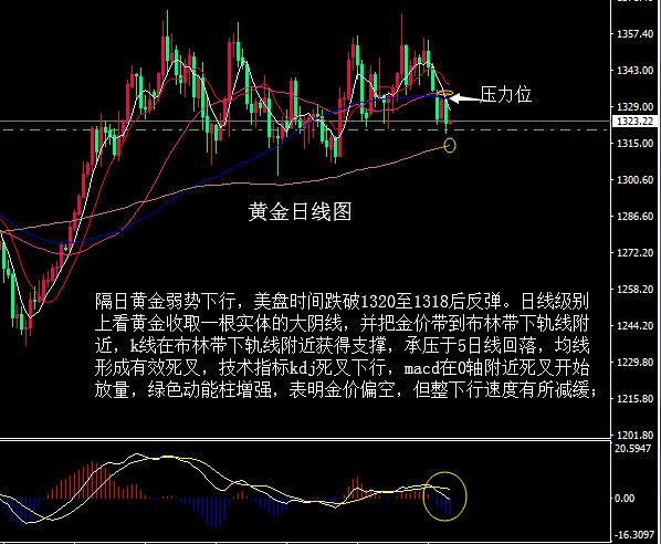 国王之谷人口比例_龙之谷小国王(2)