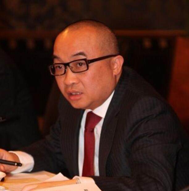 金辉集团董事长林定强