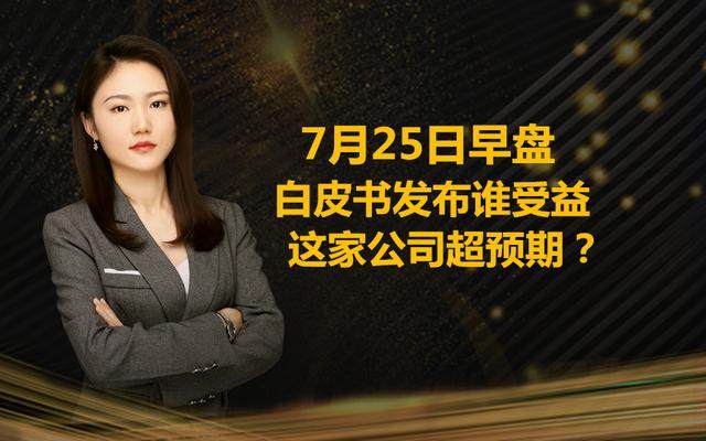 7月25日早盘：白皮书发布谁受益，这家公司超预期？