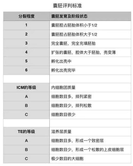 孕 初期 5w2d 與寶寶的第一次見面 Cherie 彩色棉花糖 痞客邦